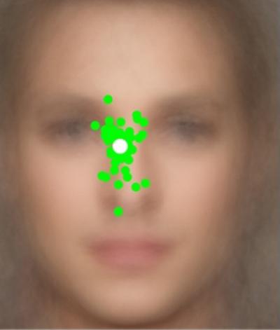 Face Identification Areas