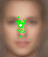 Face Identification Areas