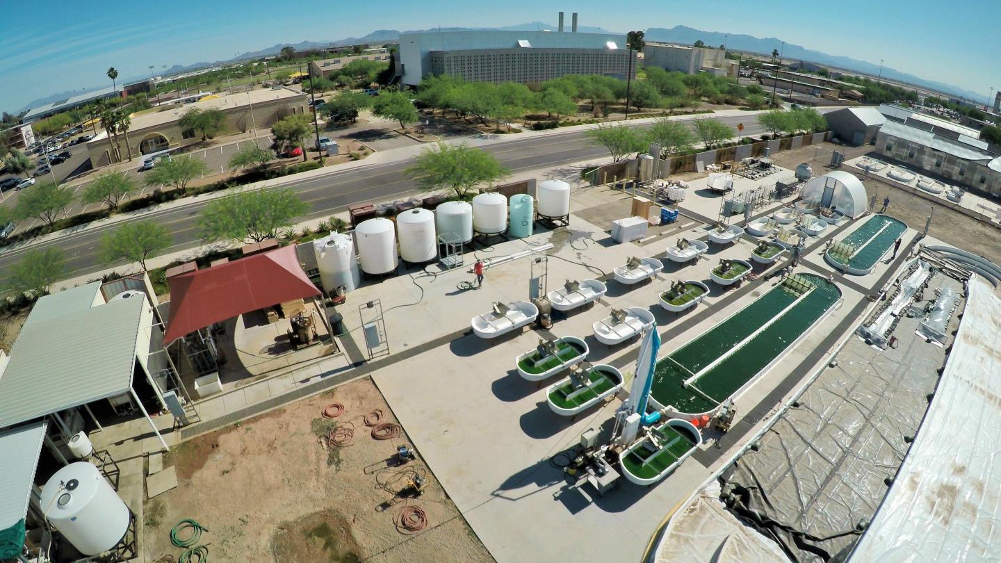 ASU Algae Ponds