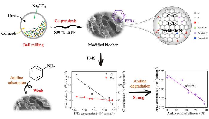 Collaborative modification strategy to improve the formation of biochar-derived persistent free radicals for aniline removal via peroxymonosulfate activation