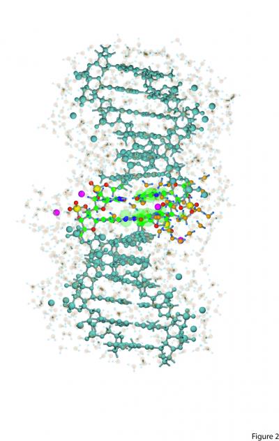 Overview of Reaction