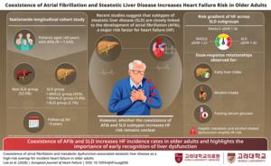 Coexistence of Atrial Fibrillation and Steatotic Liver Disease Increases Heart Failure Risk in Older Adults