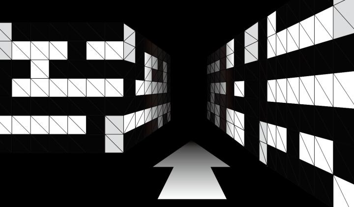 Kyoto University Research Reconstructs How We Foresee Directions in Our Brains