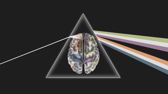Alzheimer’s disease reshape communication across the brain in distinct patterns