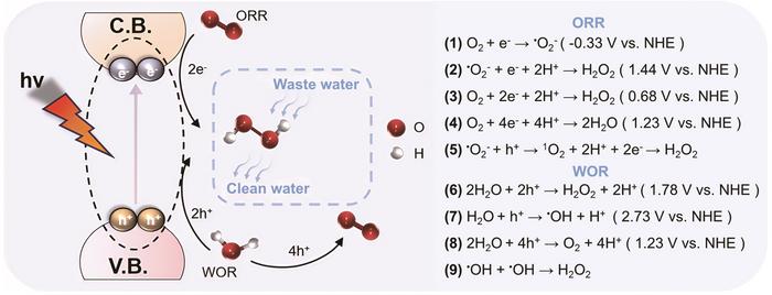 Metal-free catalysts break through in green H2O2 synthesis! Novel organic semiconductors enable high-efficiency interfacial reactions