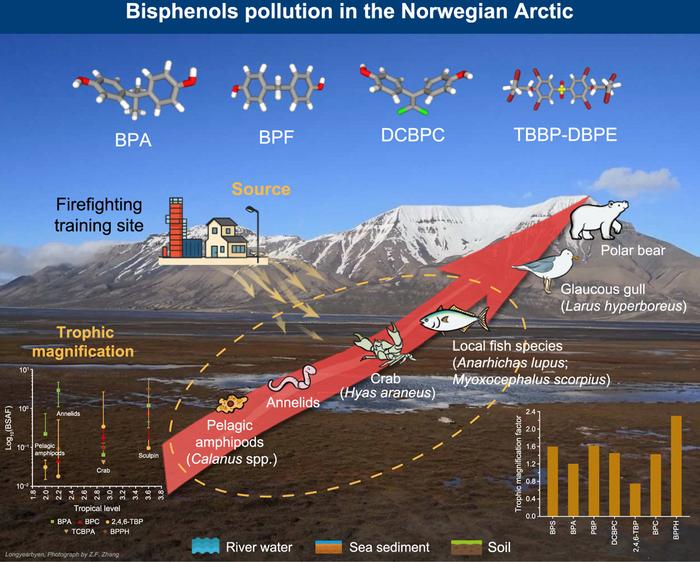 Toxic trail of bisphenols through the Arctic food web.