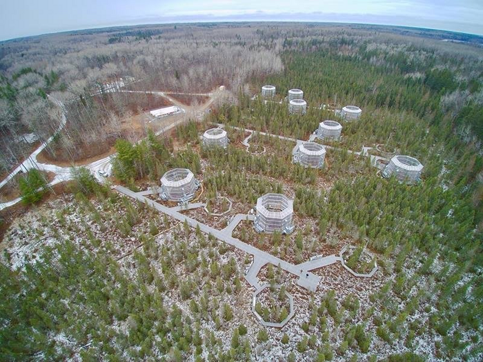 Whole Ecosystem Warming Stimulates Methane Production from Plant Metabolites in Peatlands
