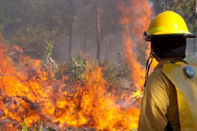 Bushfire Threat