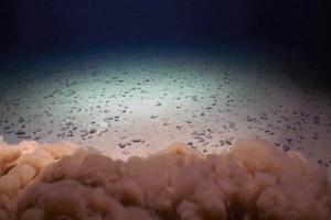 Nodules on abyssal seafloor