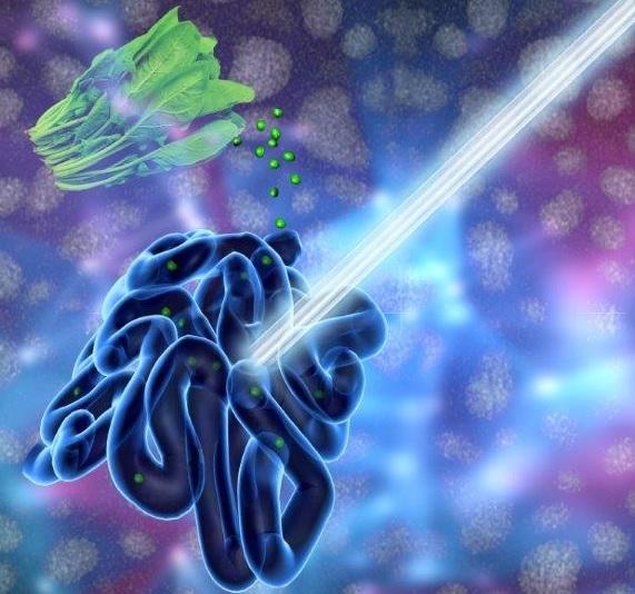 Veggie Juice that Illuminates the Gut