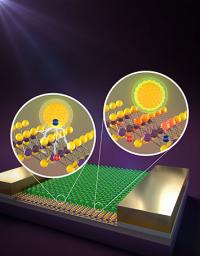 Illustration of Charge and Energy Transfer