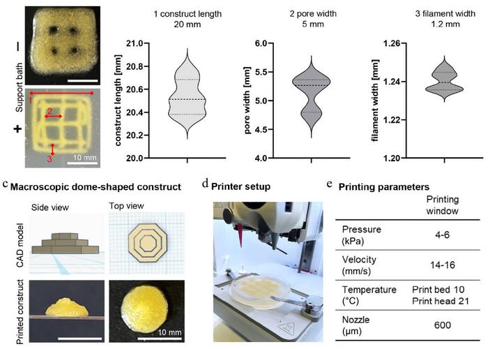 Bioprinting characteristics and printing protocol.