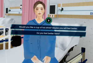 Virtual Reality Agitation Management (VRAM) programme scenario