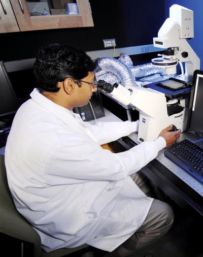 Ravi Bellamkonda, Georgia Institute of Technology Research News (1 of 3)