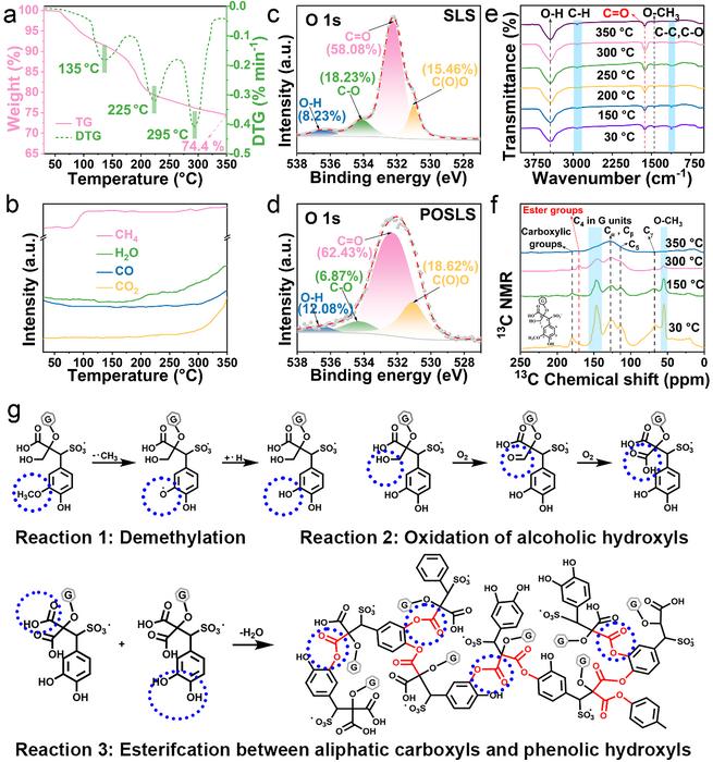 FIG. 1. MECHANISM OF PRE-OXIDATION-INDUCED COVALENT CROSS-LINKING IN SODIUM LIGNOSULFONATE (SLS)