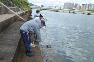 Water sampling from Shing Mun River, Hong Kong