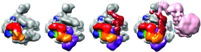 Transcription Initiation Complex