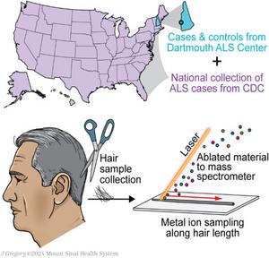 Hair sample collection