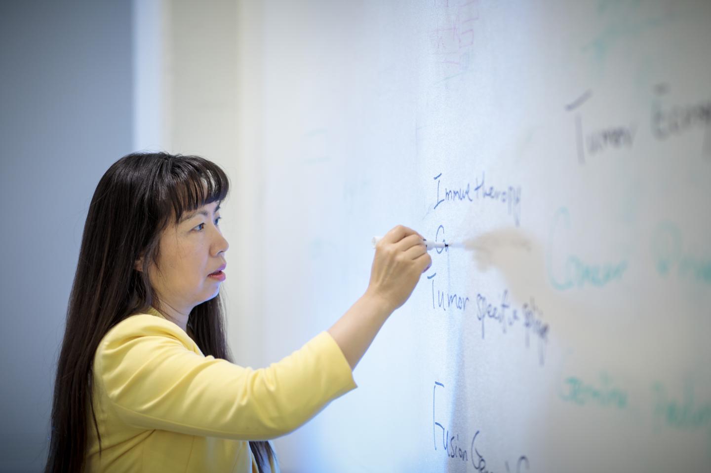 Li Ding, Washington University School of Medicine