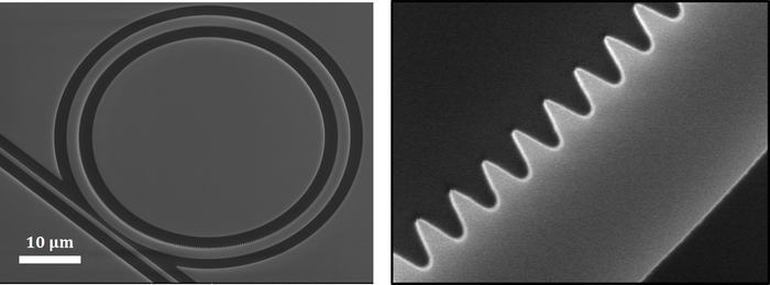 Photonic Crystal Resonator
