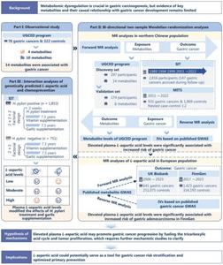 Plasma L-aspartic acid as a causal biomarker and modifier in gastric cancer risk and prevention.