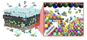 Overcoming the Limits of Hydrogen Storage and Transport… KAIST Develops Next-Generation Ammonia Protonic Ceramic Fuel Cell​