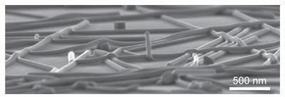 Plasmonically Welded Silver Nanowires