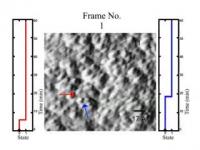 Two-State Dynamics in Amorphous Silicon