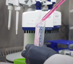 Lab bench research in Veesler Lab at UW Medicine