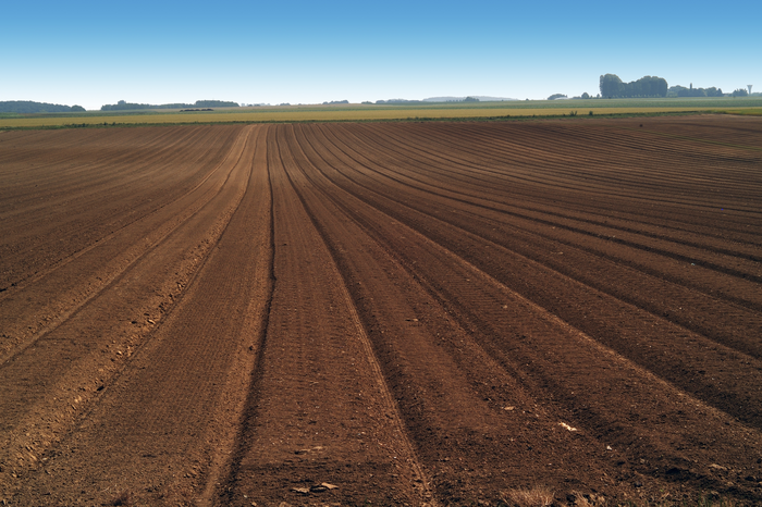 Fields