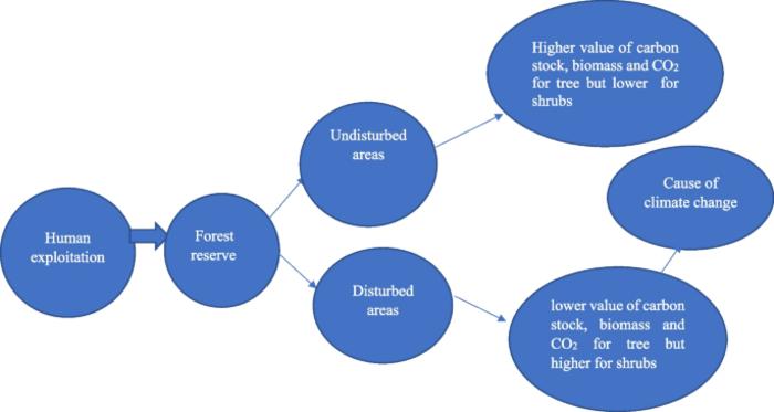 Nexus between carbon stock, biomass, and CO₂ emission of woody species composition: evidence from Ise-Ekiti Forest Reserve, Southwestern Nigeria