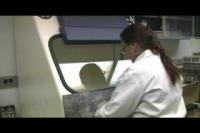  Finding a Tiny Cure for Prostate Cancer