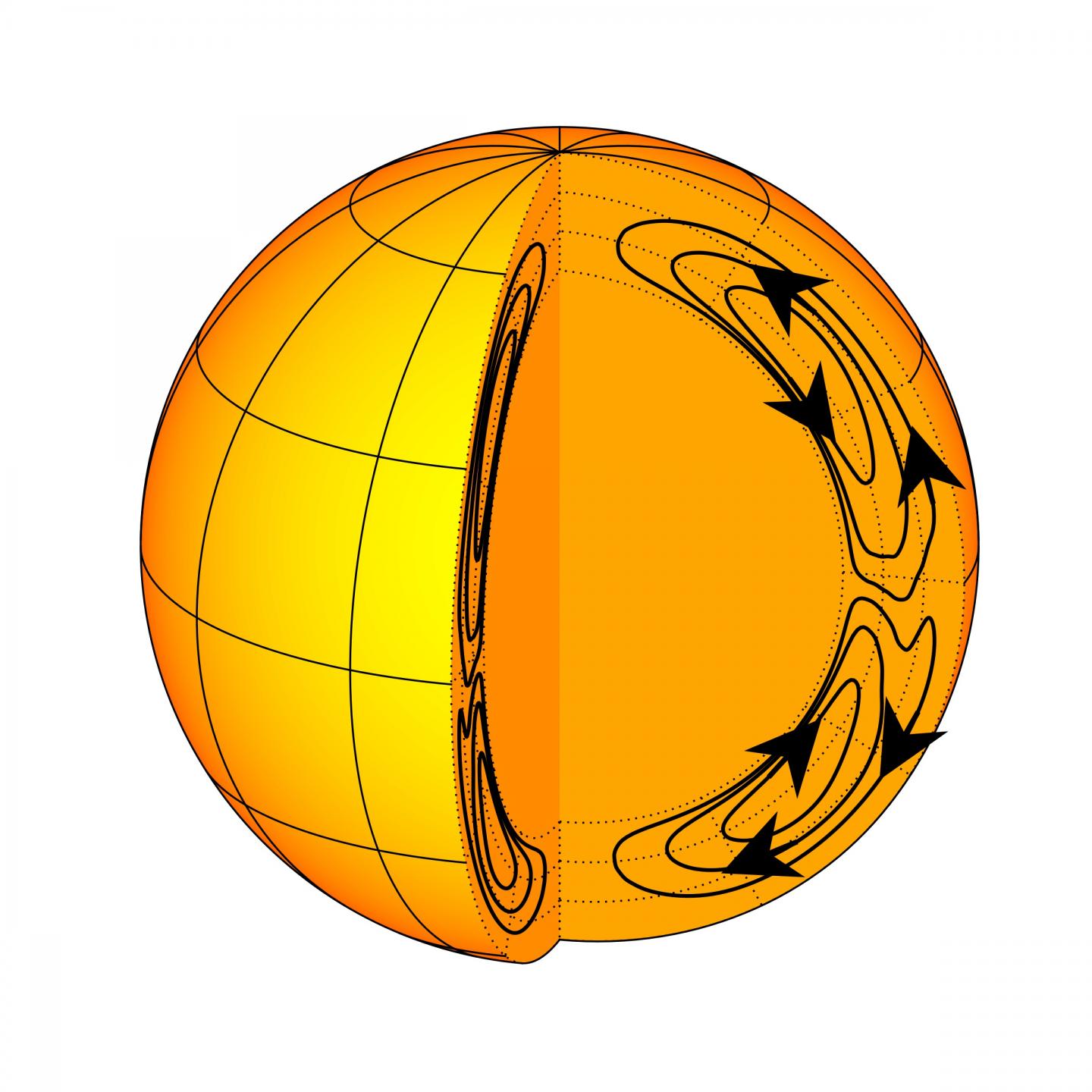 Meridional Flows in the Convection Zone
