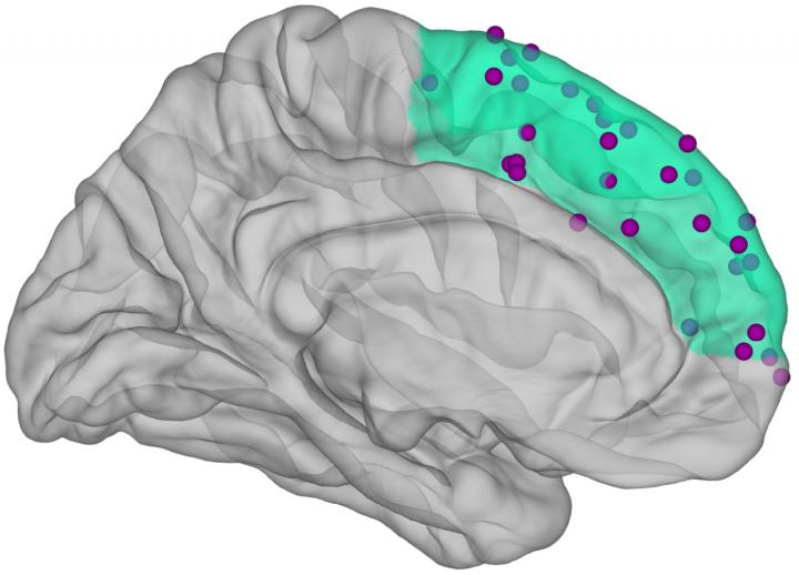 Graphical Representation of the Human Brain