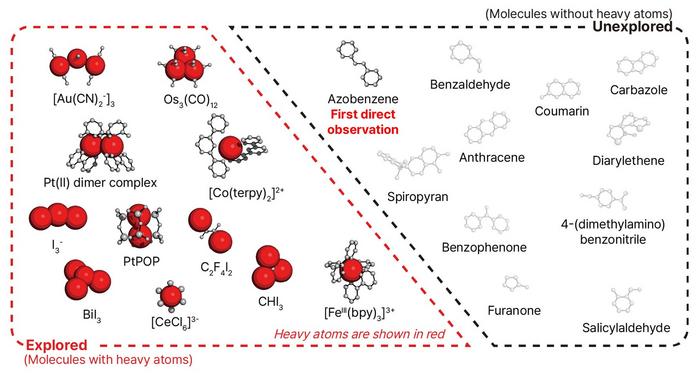 KAIST Reveals How the Light-Responsive Molecular Switch Azobenzene Changes Shape