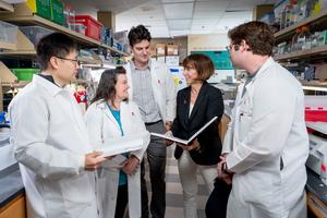 3D tumor organoids give brain tumor researchers new scientific opportunities