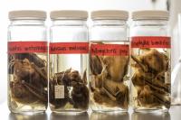 Preserved Bats