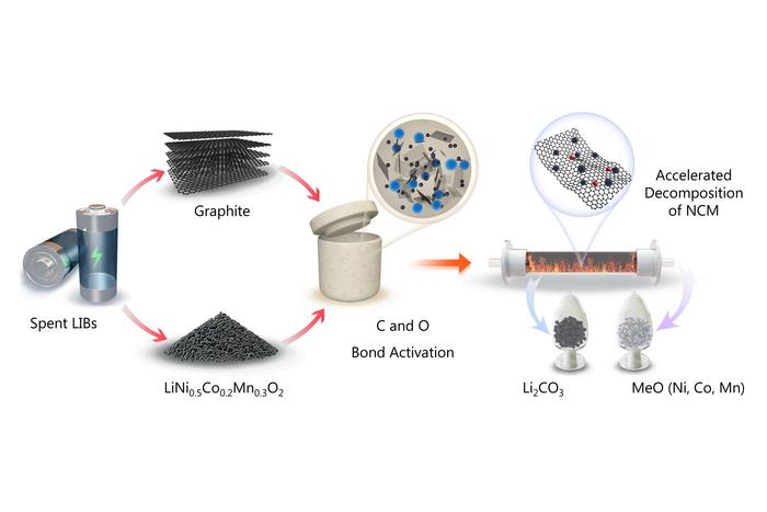 Schematic illustrating the synchronous activation of carbon and oxygen bonds in spent LIBs
