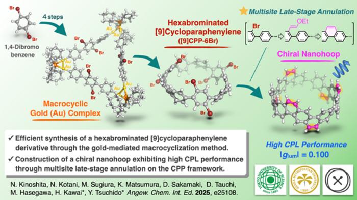 Synthesis of highly functionalized carbon nanohoops