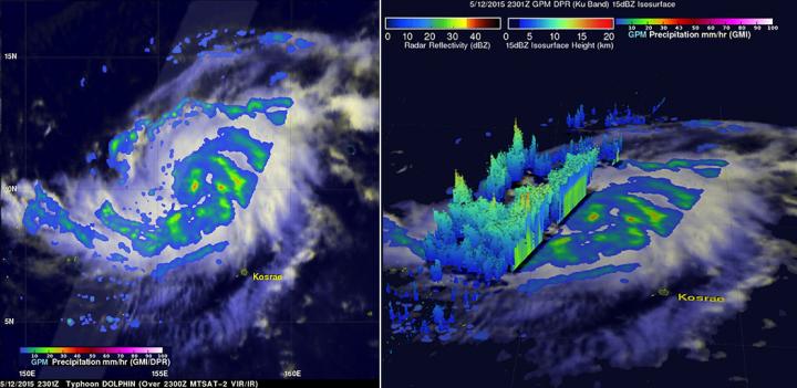 GPM Image of Dolphin