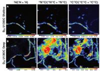 NanoSIMS images