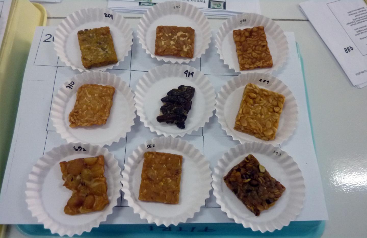 9 Different Types of Tempe