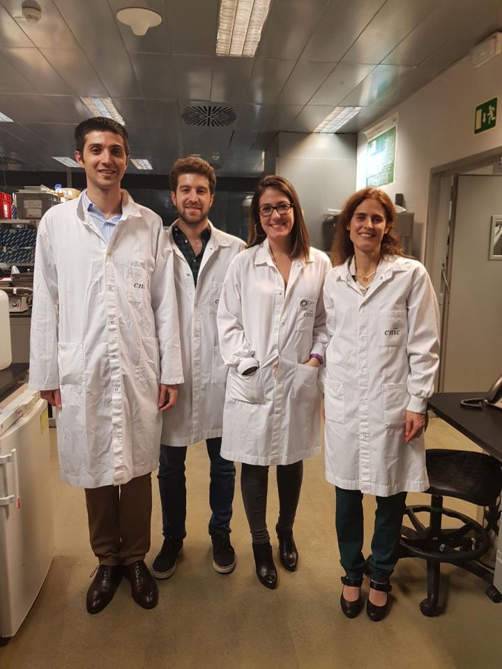Researchers