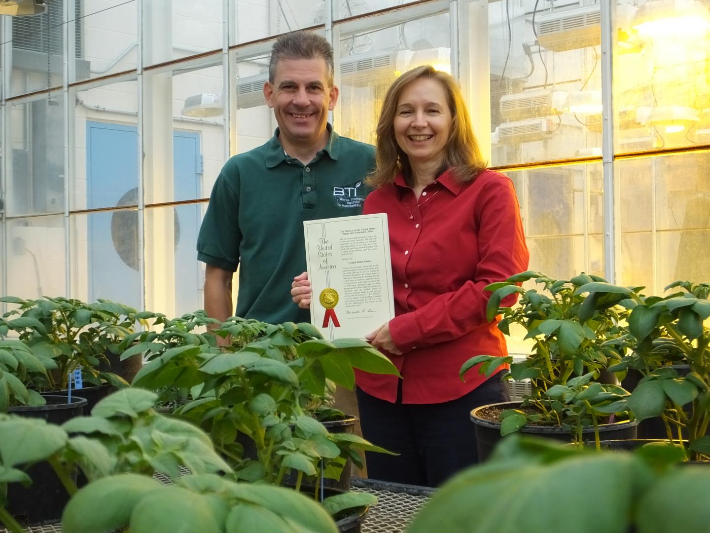 New Patent For Biofortified Crops