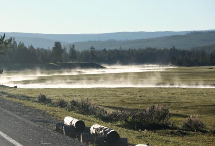 landscape with visible moisture from ground