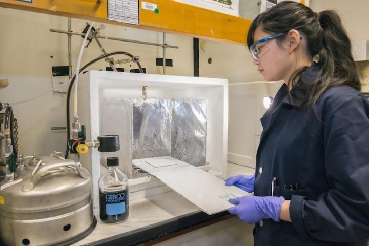 Sharon Chen, DO/Lawrence Berkeley National Laboratory 