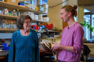 Leslie Leinwand and Skip Maas in the lab with pythons