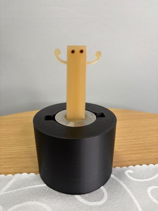 Edible agent used in this study. The edible agent was made from edible materials and designed to sway from side to side in synchrony with vocalizations.