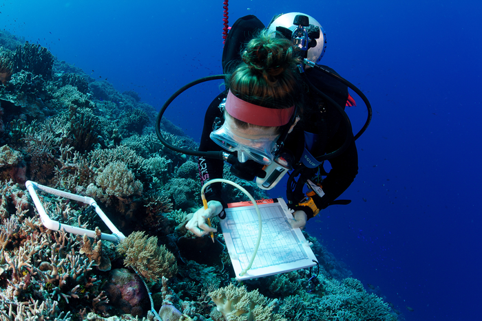 The Global Reef Expedition surveyed and mapped over 1,000 reefs in 16 countries across the Atlantic, Pacific, and Indian Oceans as well as the Red Sea.