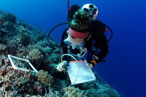 The Global Reef Expedition surveyed and mapped over 1,000 reefs in 16 countries across the Atlantic, Pacific, and Indian Oceans as well as the Red Sea.